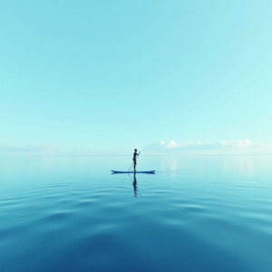 Paddle Board